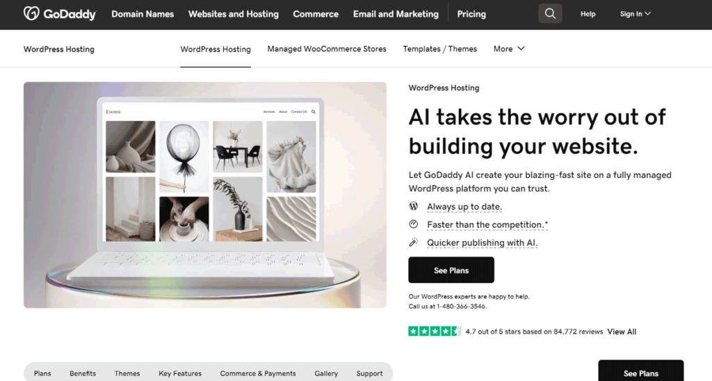 GoDaddy-WordPress-Hosting-Review1