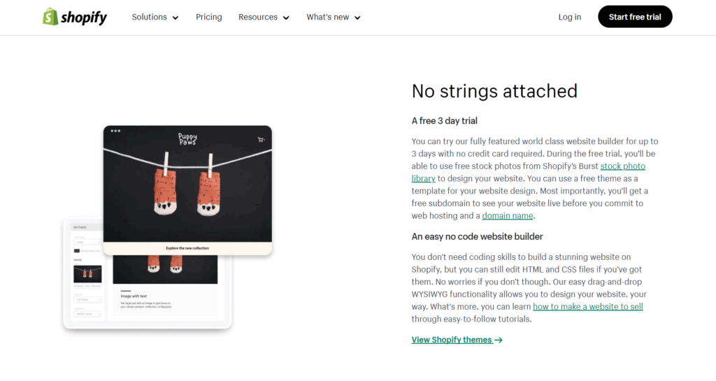 Shopify-Website-Builder-Buy-It-or-Not-2