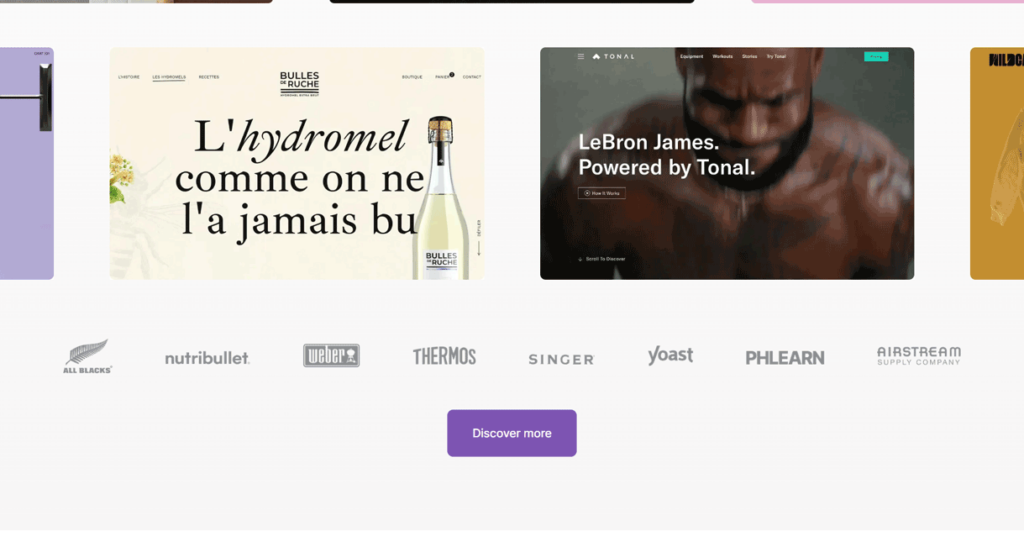Where-WooCommerce-Ecommerce-Platform-Stands-Out