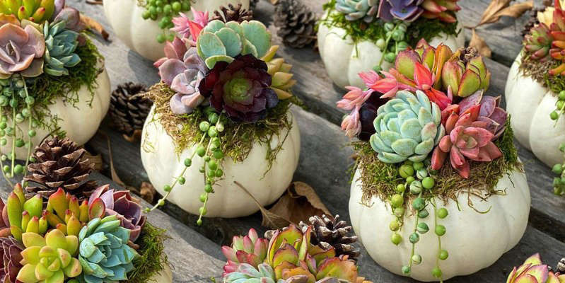 Etsy